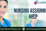 The Knight in Shining Armor For Students Seeking Professional Assistance with Their Nursing…