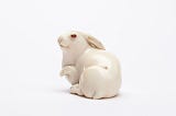 The hare with the amber eyes by Edmund de Waal