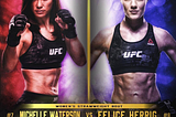Women’s Strawweight War (between MMA Vets)- UFC 229 Preview