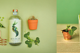 Booze-Free Alcohol is What’s Next in Beverages: The Dieline interviews Hamish Campbell