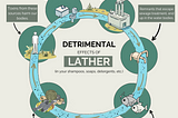 Rethinking Clean: The Environmental Price of Lather