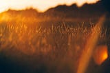 4 Conversations That Lead to More Trust, Clarity, and Clients