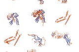 Evolution of a SARS-COV-2 Super Antibody