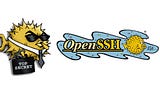 Remote Akses Server dengan SSH, Instalasi & Kofigurasi OpenSSH Server di Debian/Ubuntu