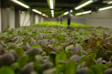 What is vertical farming and why do we need it?