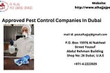 Discover Approved Pest Control Companies in Dubai for Effective Pest Management Solutions.