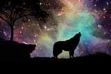 7 Langkah Menerima Diri Anda Sebagai Lone Wolf