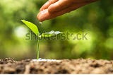 No, every day is NOT Earth Day