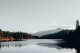 Silence: The Golden Principle