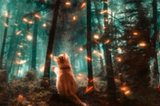 Rescuing Schrodinger’s Cat in DeFi Dark Forest