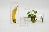 A banana, a plant and a flask on a monochrome surface, each one surrounded by a thin white frame with letters attached that spell the name of the objects