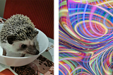 Neural Style Transfer (NST) — theory and implementation