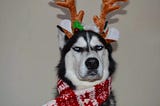 Husky — keep your ‘master’ branch clean.