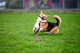 API Fetching the React Way — React Query