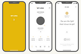 A UX Case Study: A Minimalist Lunar Calendar App