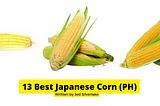 13 Best Japanese Corn Philippines 2022 (w/ Free Discount)