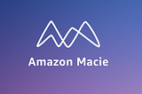 Securing Data In AWS Using Marcie