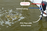 Enhance Your Fish Farming with Aeration