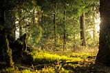 An agnostic’s prayer for self-healing