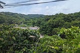 Japan’s Countryside: A Train Ride from Osaka to Nara