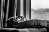 My 75 Hard Journey: Day 9 — Rain or Shine, Sleep or Grind!