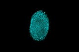 What is Device Fingerprinting?