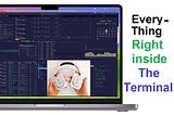 Everything inside the terminal