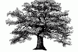 a black & white woodcut of an oak tree