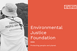 An interview with the EJF (Environmental Justice Foundation)