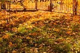 Winterizing Your Lawn