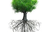 Ground to Grow…get Embodied to create your best life!