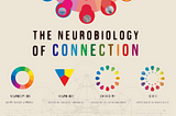 The Autonomic Nervous System is a spiral or a circle and not a ladder or a line, and why this…