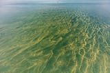 Algal Blooms: Coming for the Great Lakes