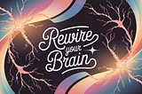 The Neuroscience of Resilience How to Rewire Your Brain for Long-Term Success