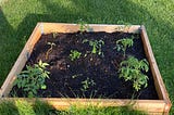 Raising garden bed — Opportunities and Challenges