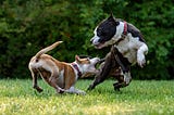 STATUTE OF LIMITATIONS DOG BITE INJURY LAWSUIT IN CALIFORNIA