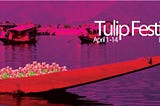 Wonderland of flowers: Tulip festival of Kashmir 2014