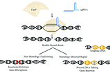 Researching Uses of Gene Editing and AI and its Potential to Stop Both Famine and Economic Loss in…