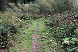 A Writers Odyssey-chapter 3