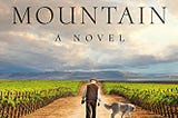 Red Mountain: A Novel (Red Mountain Chronicles Book 1) Kindle Edition