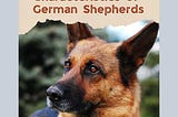The Comprehensive Guide To German Shepherds Characteristics