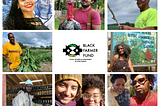 Black Farmer Fund announces first investment cohort!