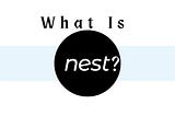 This Article Fully Entails what The NEST Protocol Means To Me