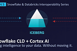 Interoperability Series: Snowflake & Databricks: CLD + Cortex AI