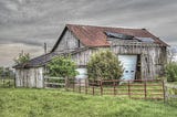 Mulberries and Mud Puddles: Lessons I’ve Learned from Homesickness