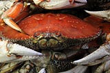 Outstanding Health Benefits and Nutritions of Crabs