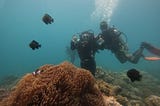 Which is the best place to scuba dive in Andaman?