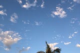 A palm tree set against a blue sky and clouds