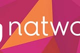 Natwork: A New Way of Networking