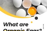 What are organic eggs?